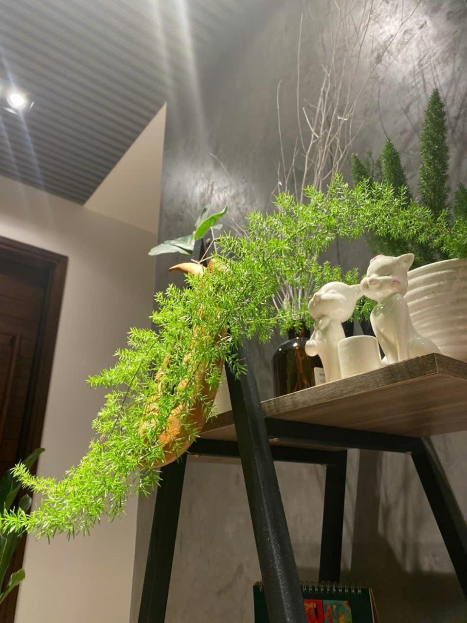 Ekehaus Da Lat Ξενοδοχείο Khu Chi Lăng Εξωτερικό φωτογραφία